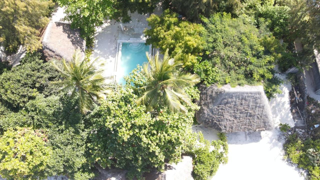 Garden Beach Bungalows Jambiani Jambiani  Dış mekan fotoğraf