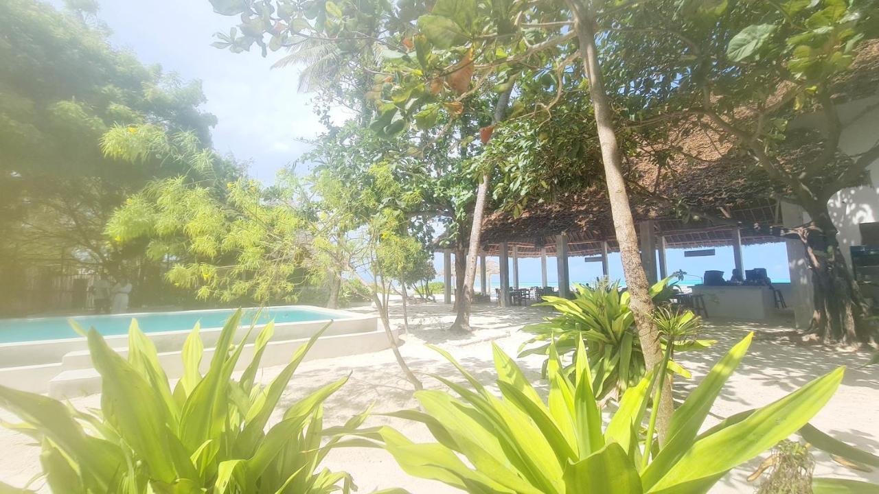 Garden Beach Bungalows Jambiani Jambiani  Dış mekan fotoğraf