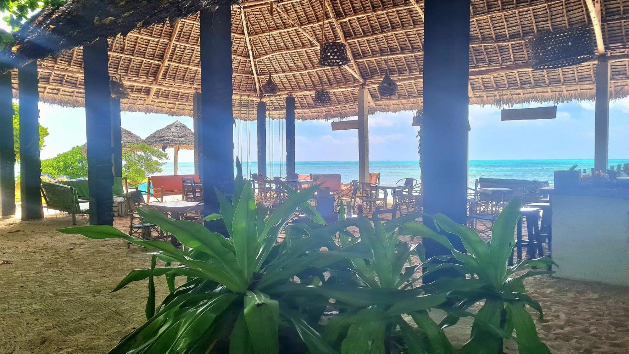 Garden Beach Bungalows Jambiani Jambiani  Dış mekan fotoğraf